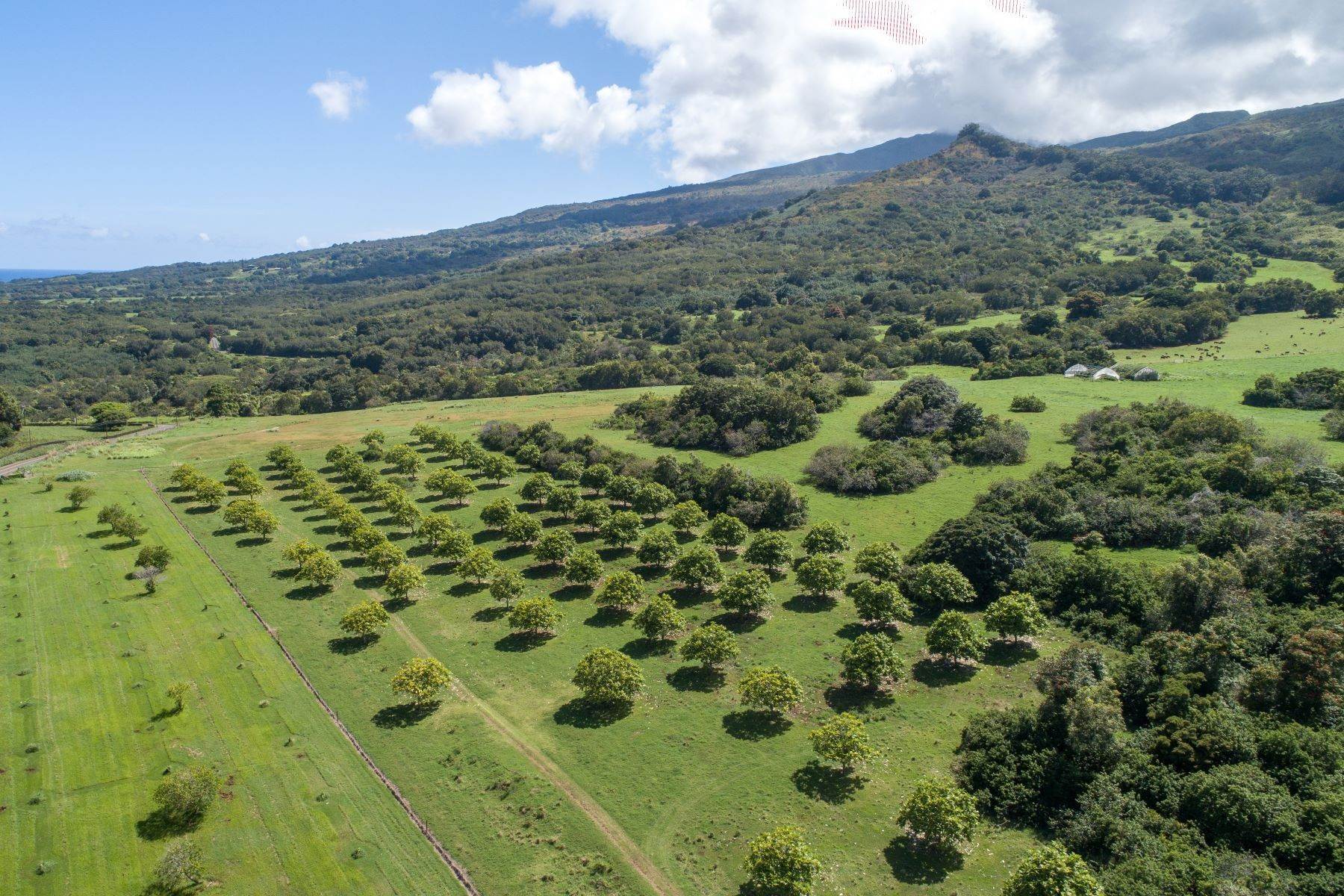9. Land for Sale at UNMATCHED EXTRAORDINARY OPPORTUNITY Hana Ranch, Maui Hana, Hawaii 96713 United States