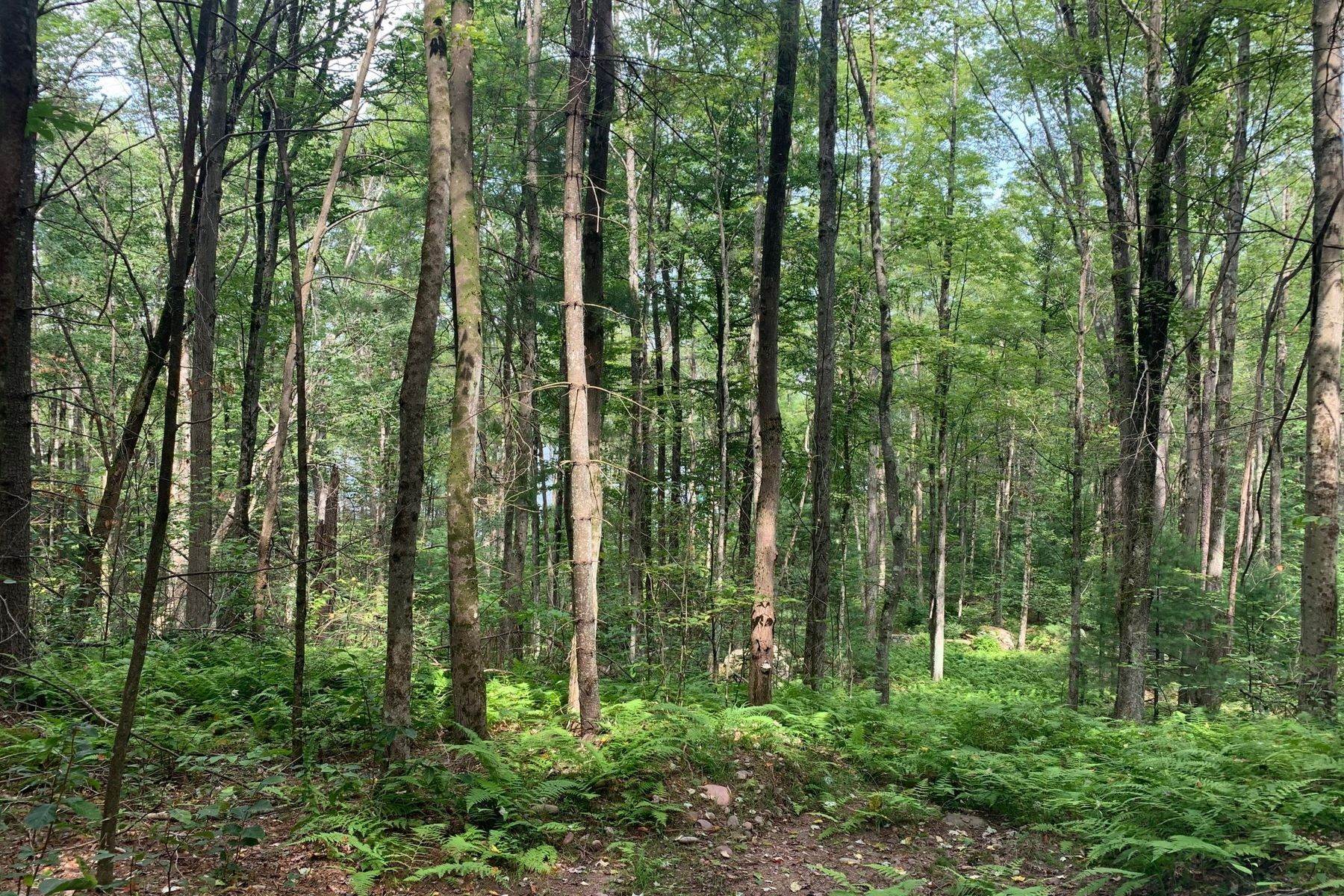 5. Land for Sale at The Chapin Estate - Lakefront lot on Swinging Bridge Lot 13 Woodstone Trail Bethel, New York 12720 United States