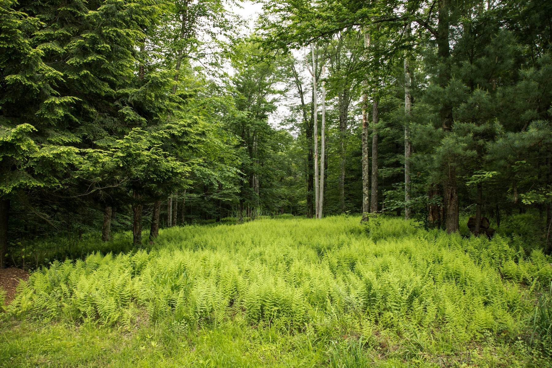 2. Land for Sale at Stream Front Home Site at The Chapin Estate Lot 4 Chapin Trail Bethel, New York 12720 United States