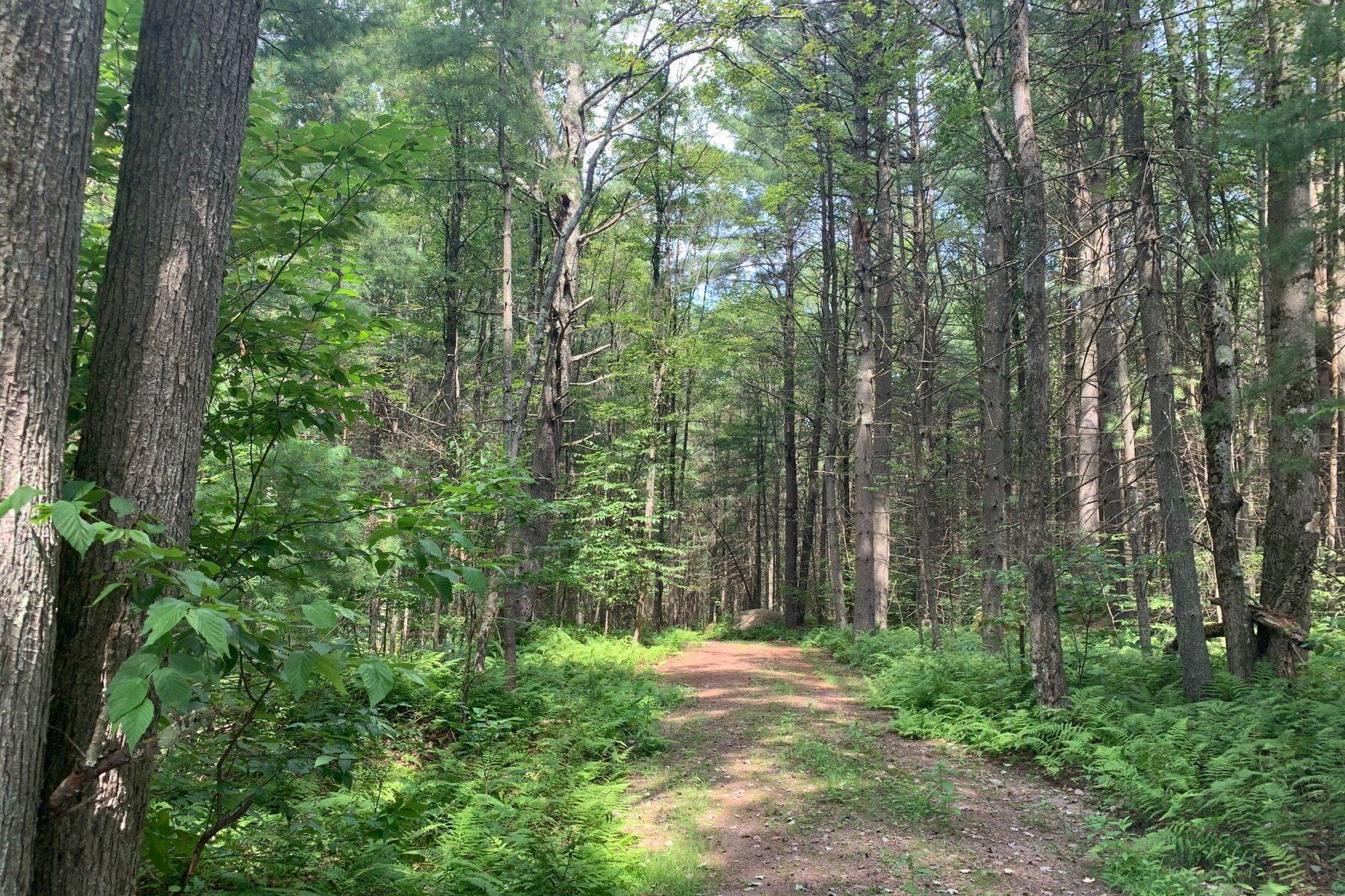4. Land for Sale at The Chapin Estate - Lakefront lot on Swinging Bridge Lot 13 Woodstone Trail Bethel, New York 12720 United States